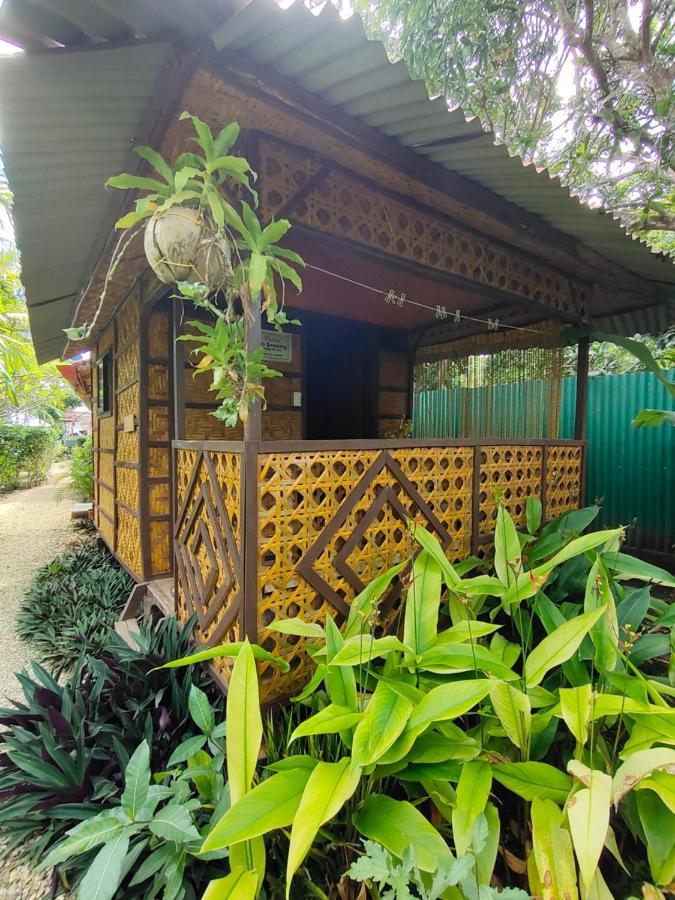 Adrianas Place Panglao Exterior photo
