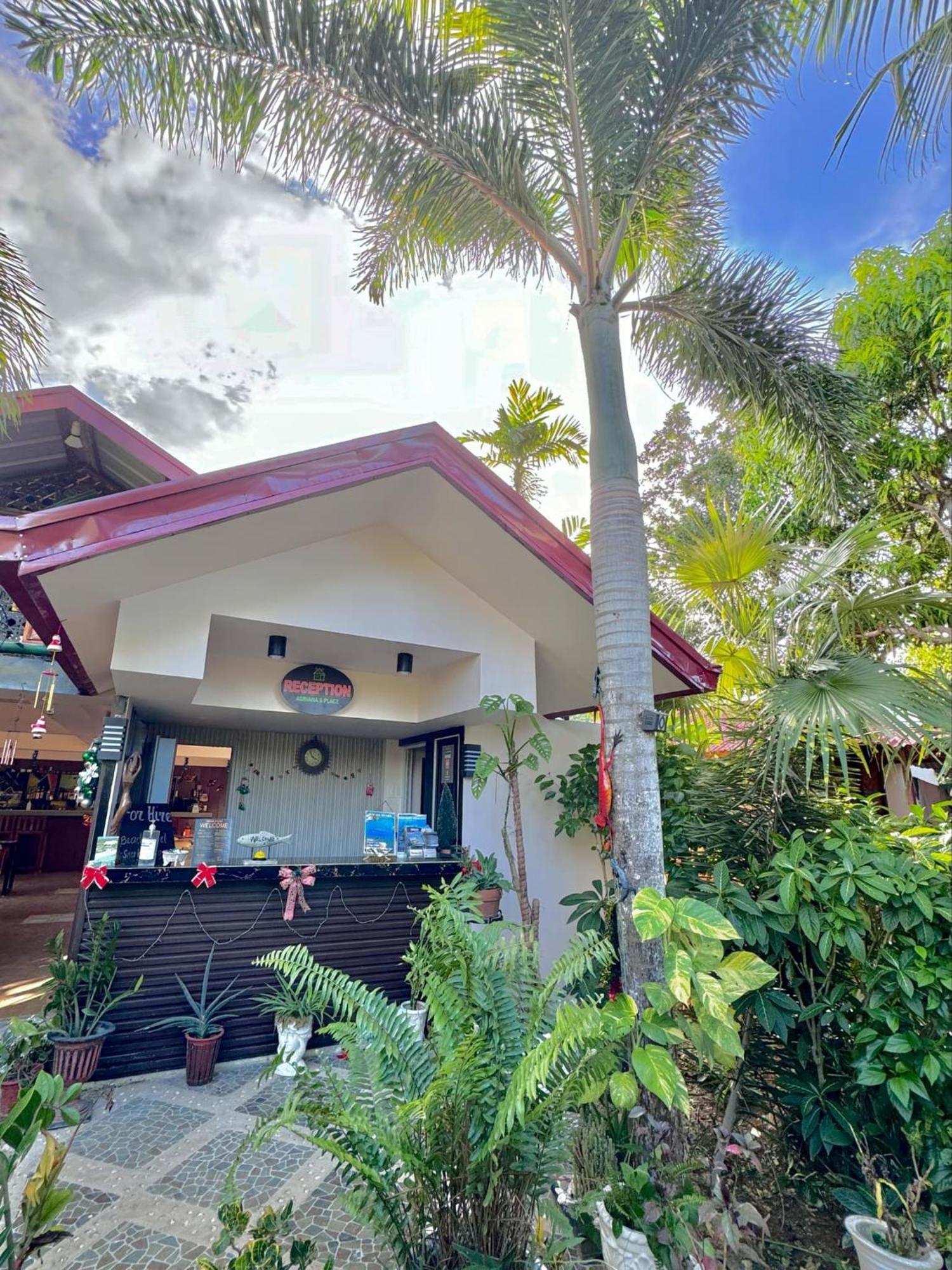 Adrianas Place Panglao Exterior photo