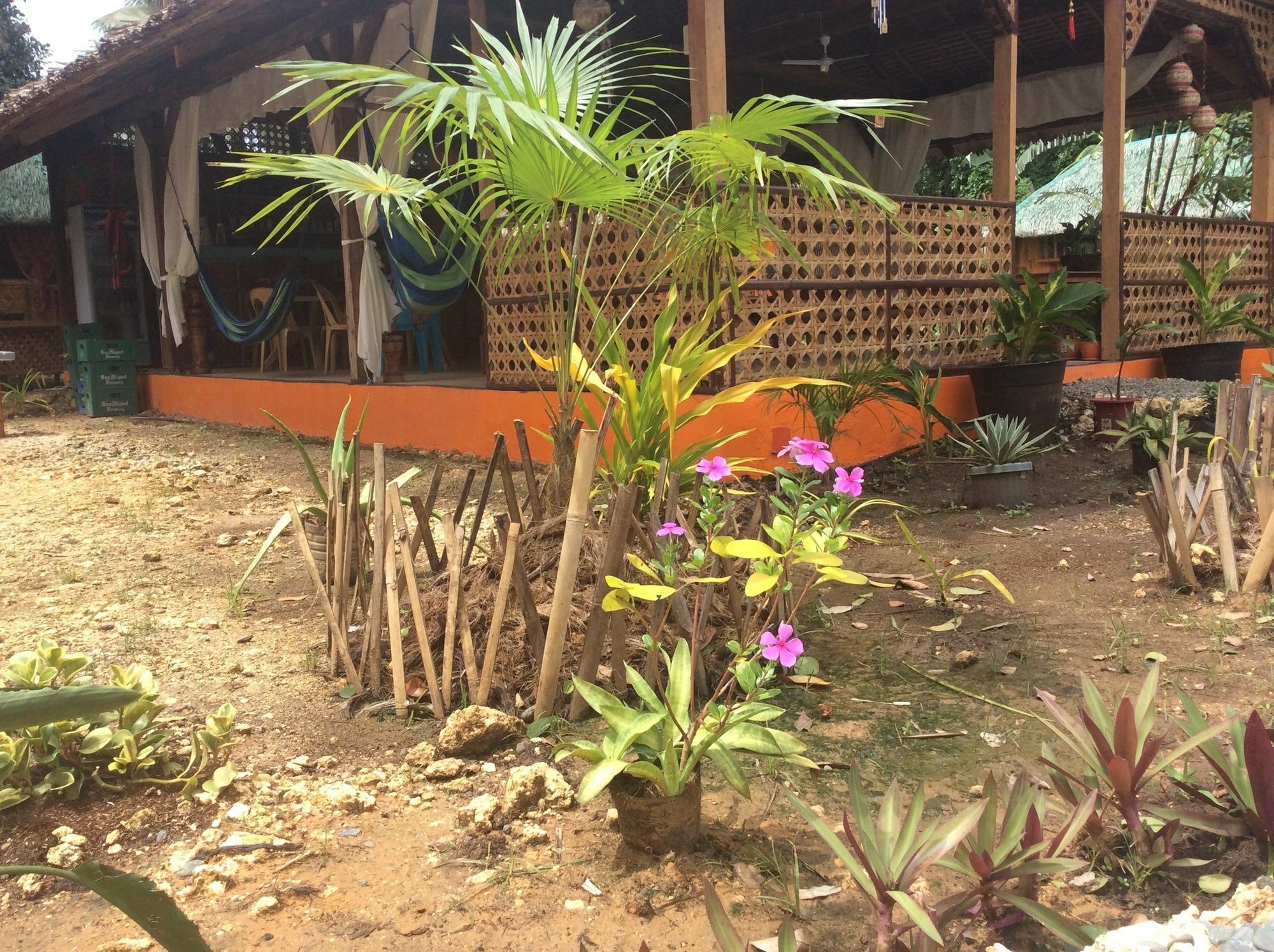 Adrianas Place Panglao Exterior photo